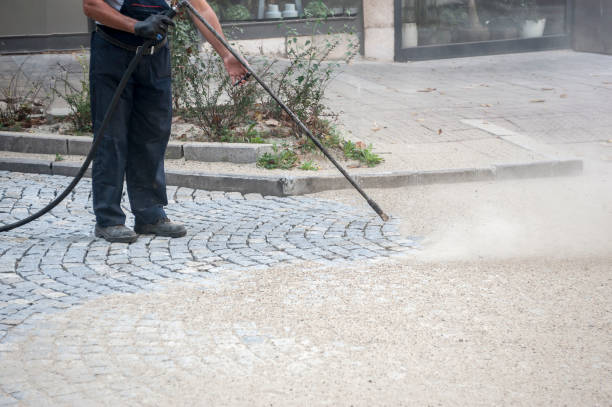 Best Soft Washing for Delicate Surfaces in Bear Valley Springs, CA